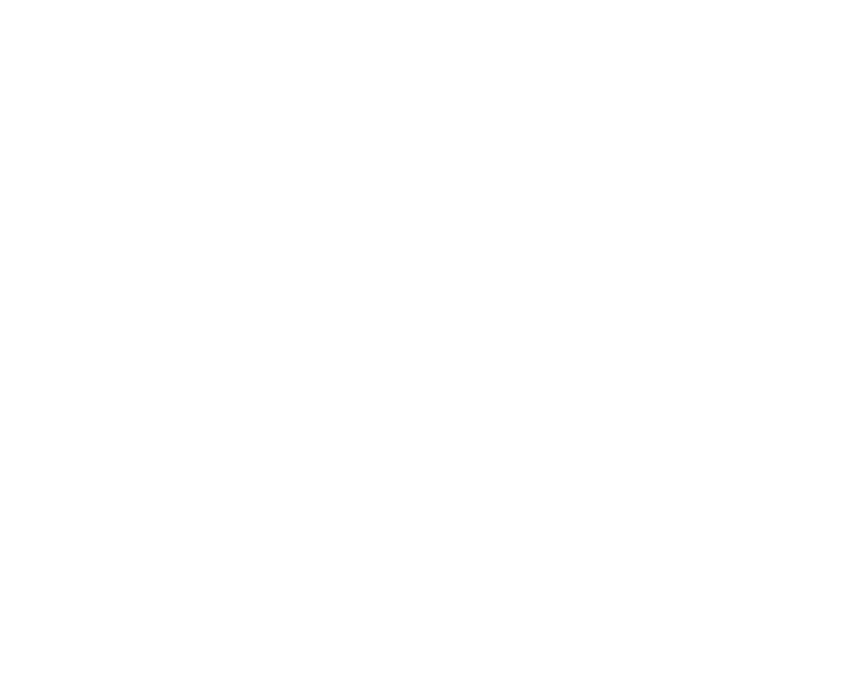 SunSolv Technologies